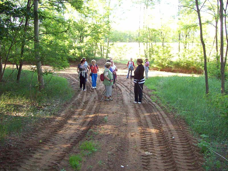 2010.0531nowa 010.jpg